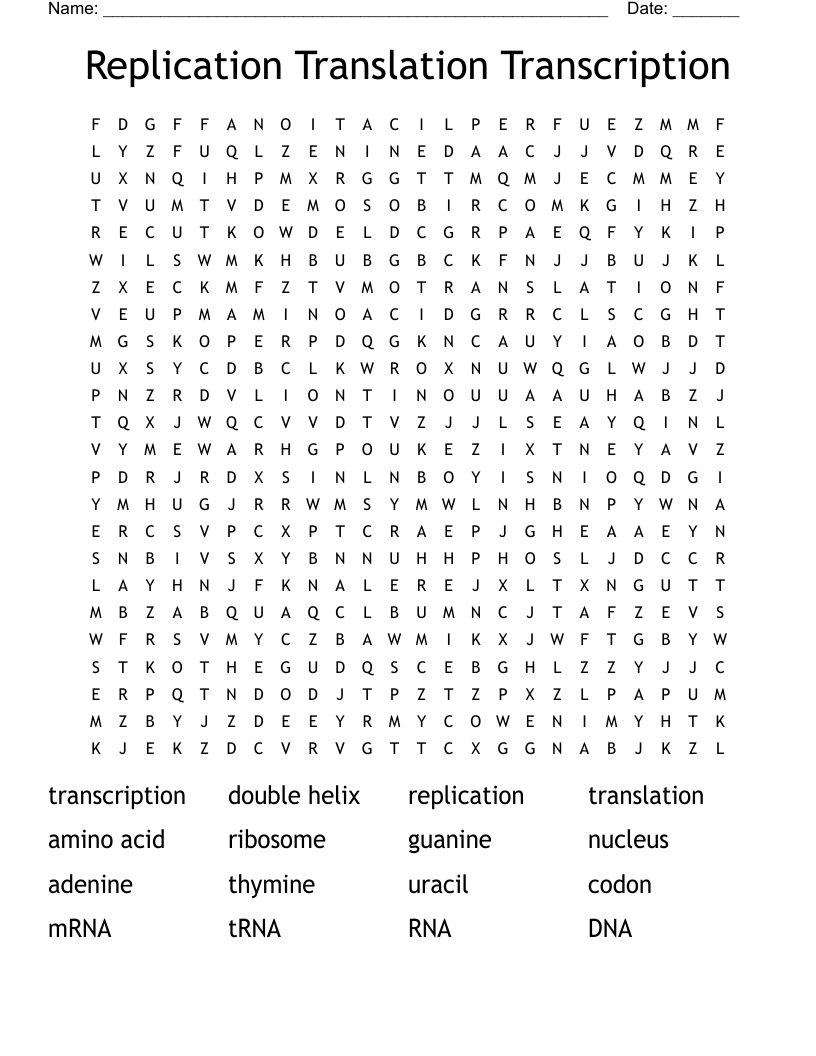 Replication Translation Transcription Word Search