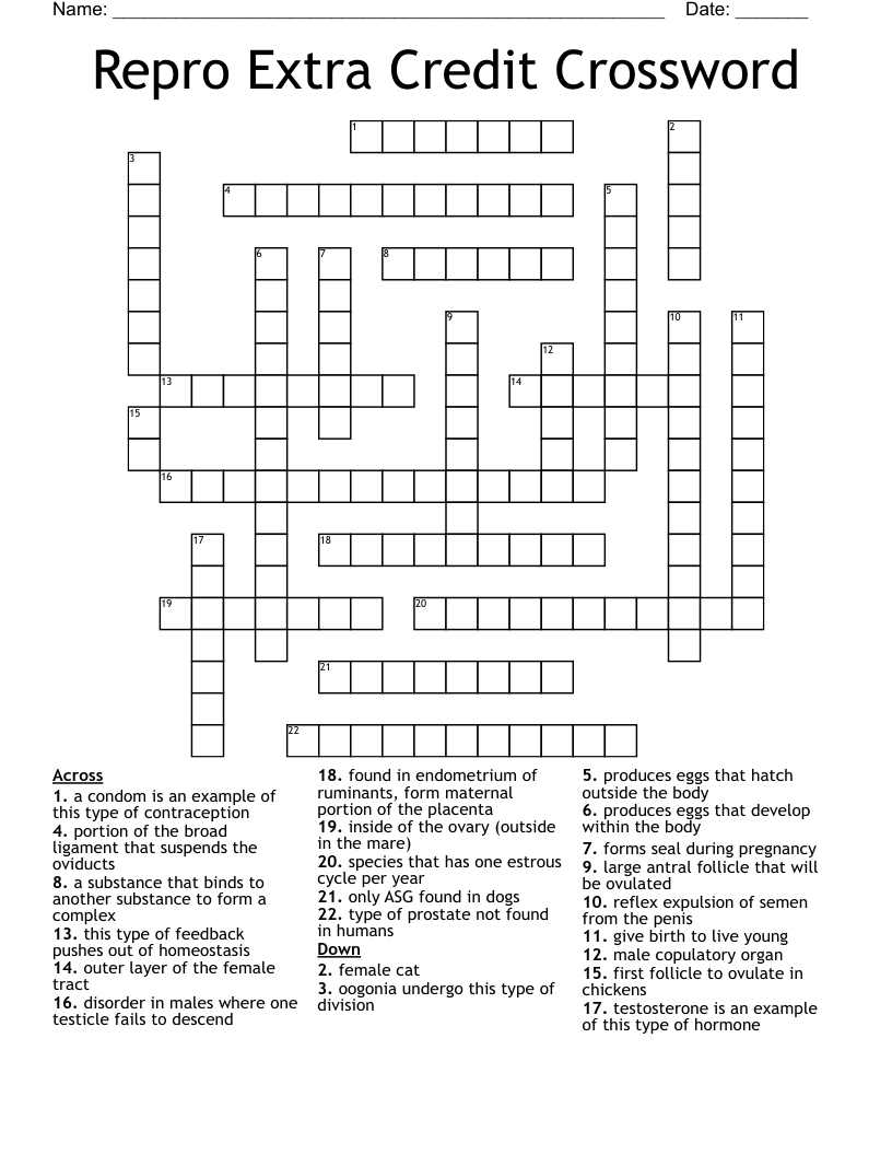 Repro Extra Credit Crossword