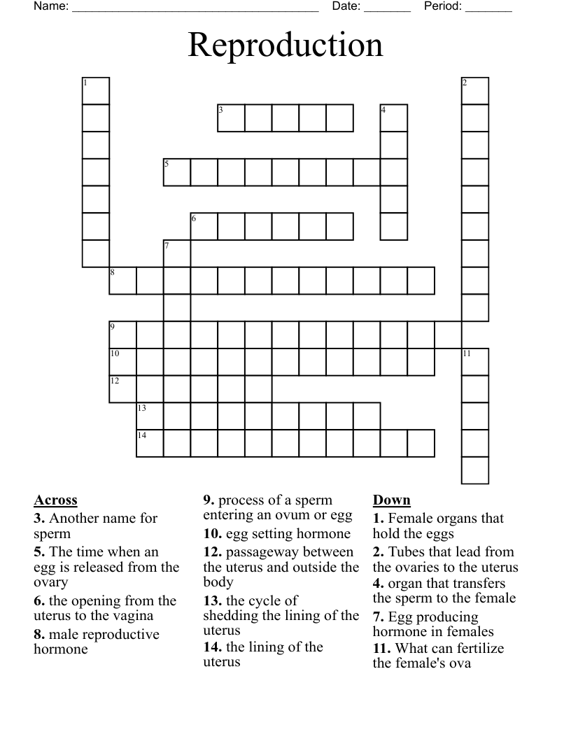 Reproduction Crossword