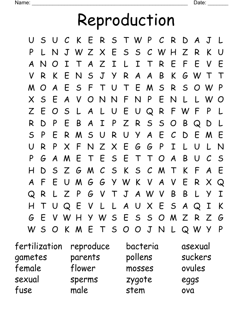 Reproduction Word Search