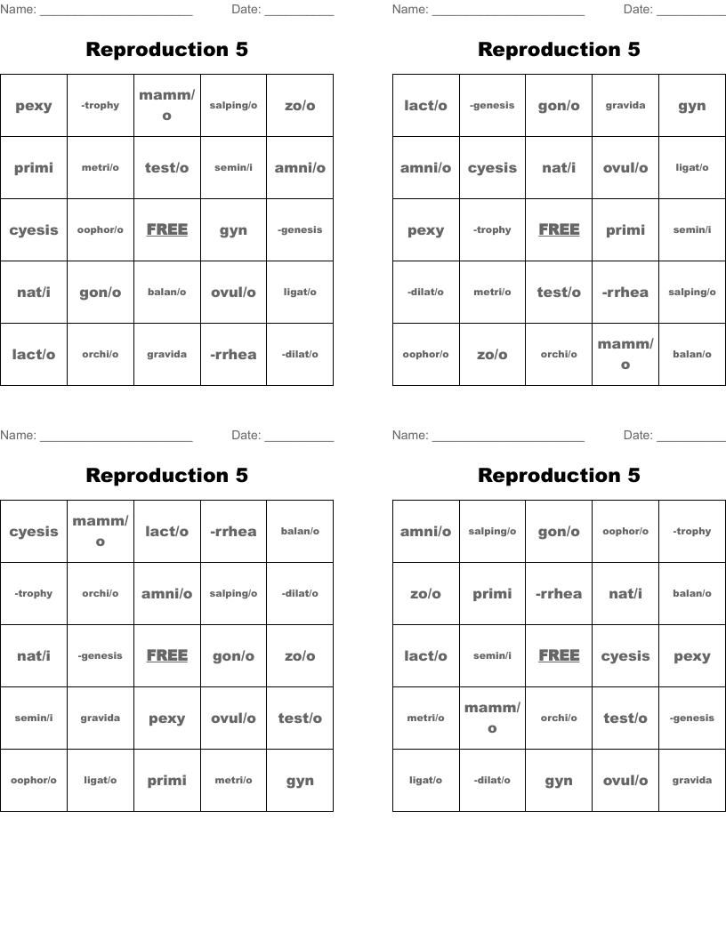Reproduction 5 Bingo Cards