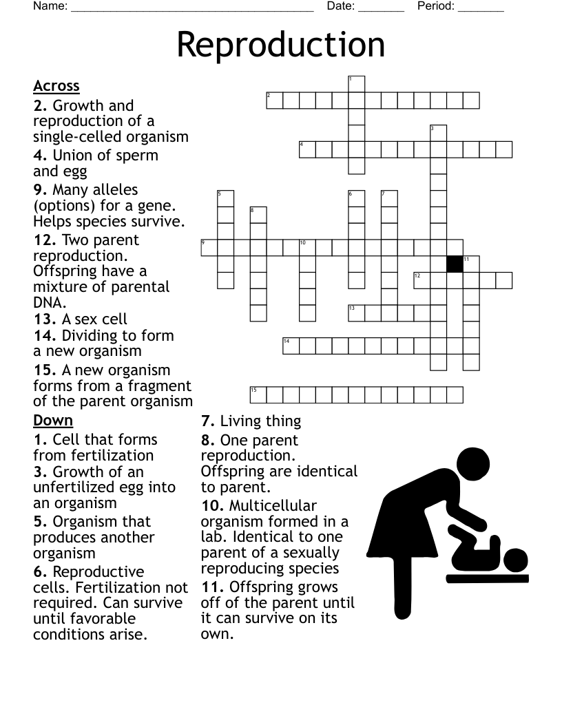 Reproduction Crossword