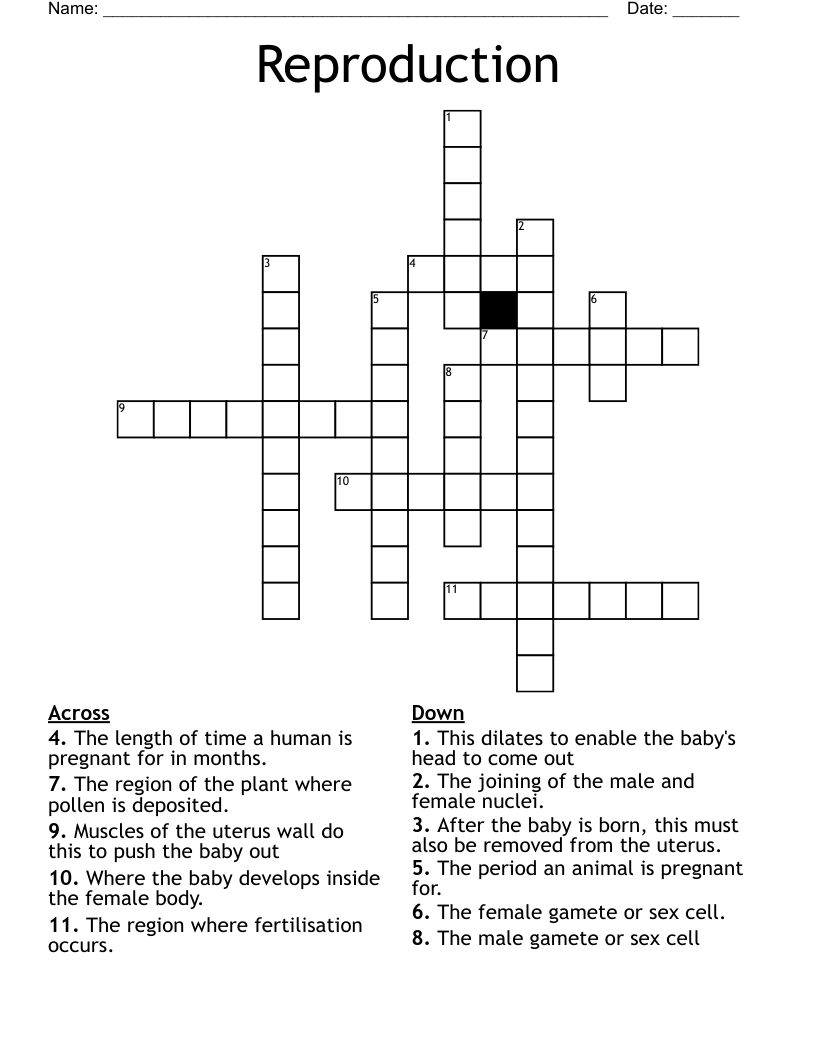 Reproduction Crossword