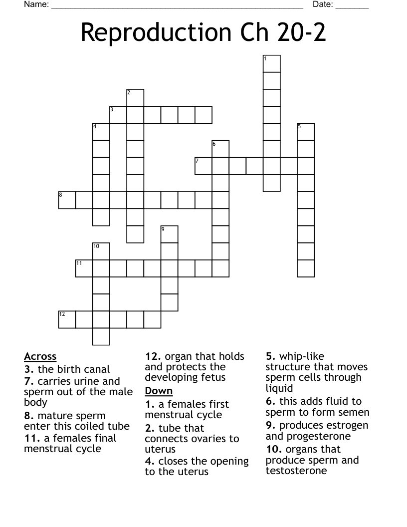 Reproduction Ch 20-2 Crossword