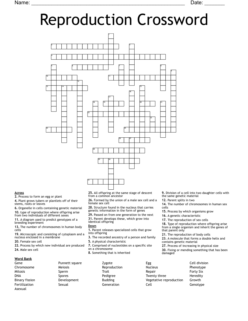 Reproduction Crossword