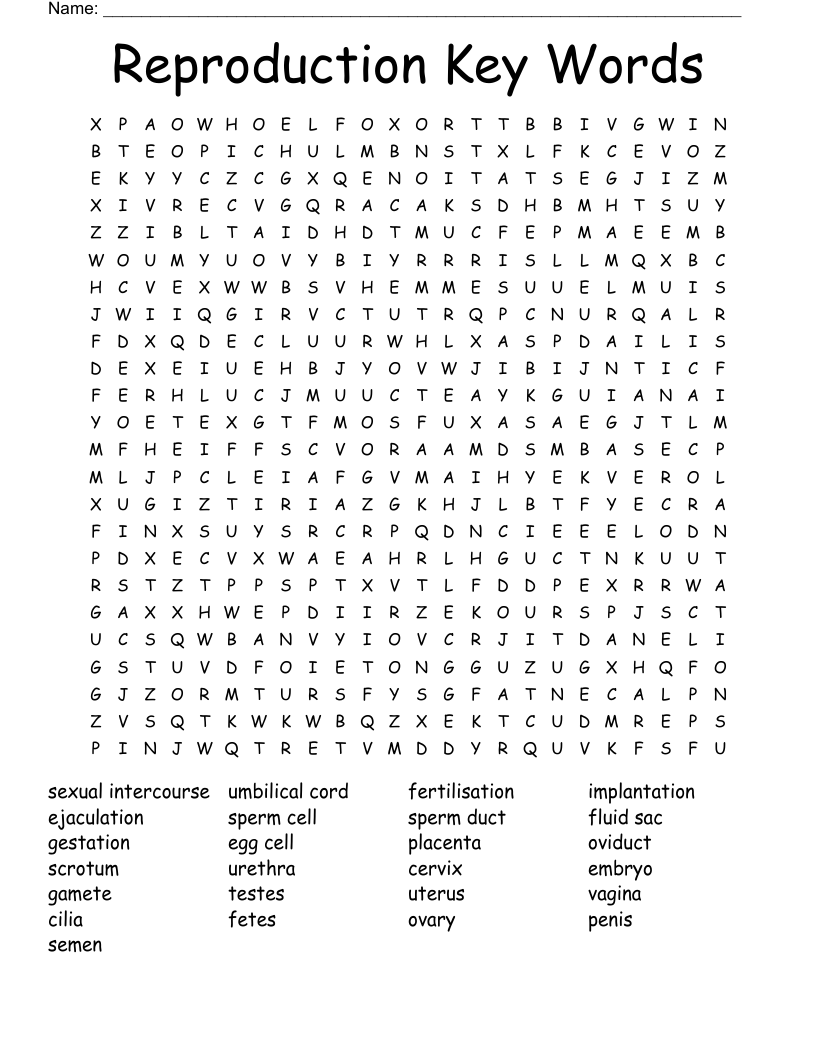 Reproduction Key Words  Word Search