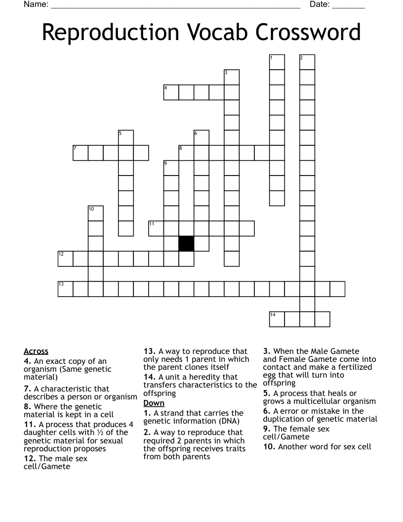 Reproduction Vocab Crossword