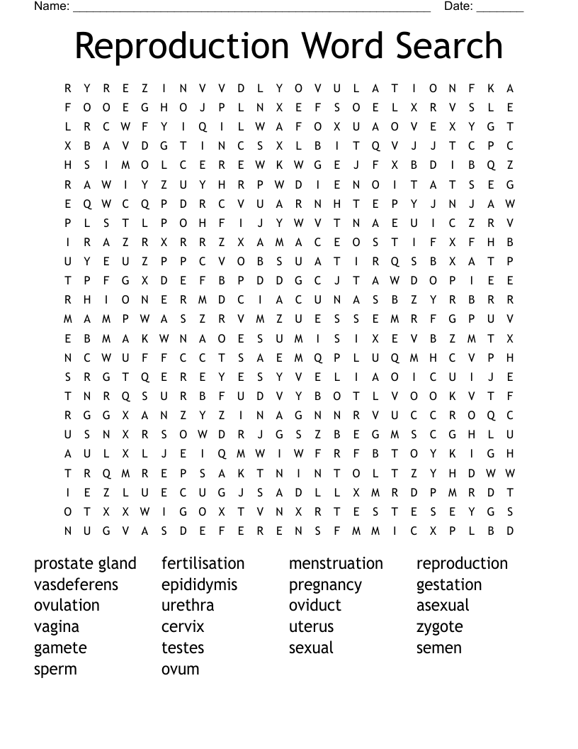 Reproduction Word Search