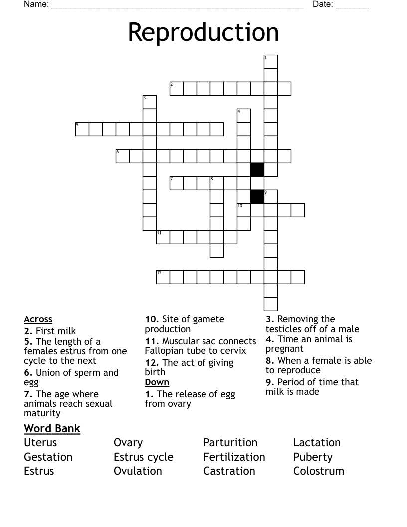 Reproduction  Crossword