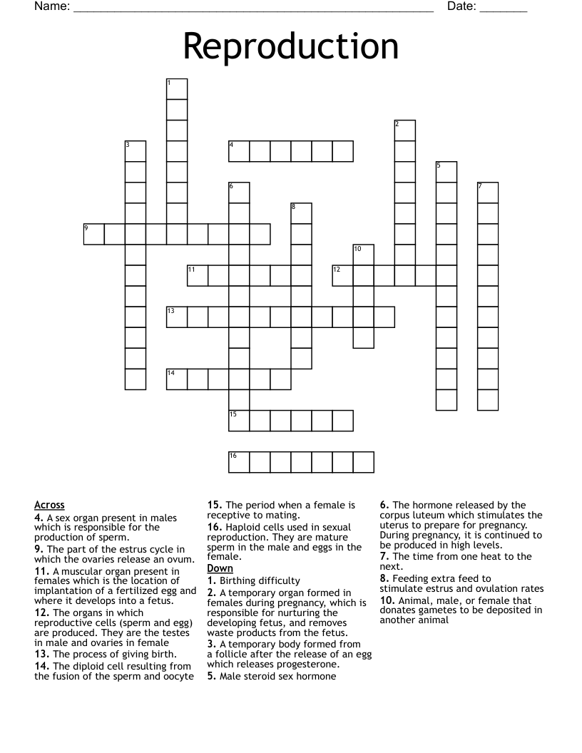Reproduction  Crossword