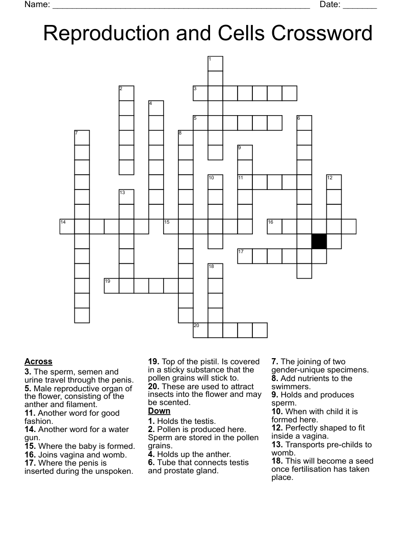 Reproduction and Cells Crossword
