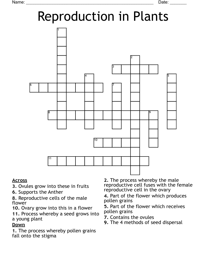 Reproduction in Plants Crossword