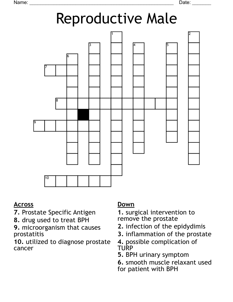 Reproductive Male Crossword