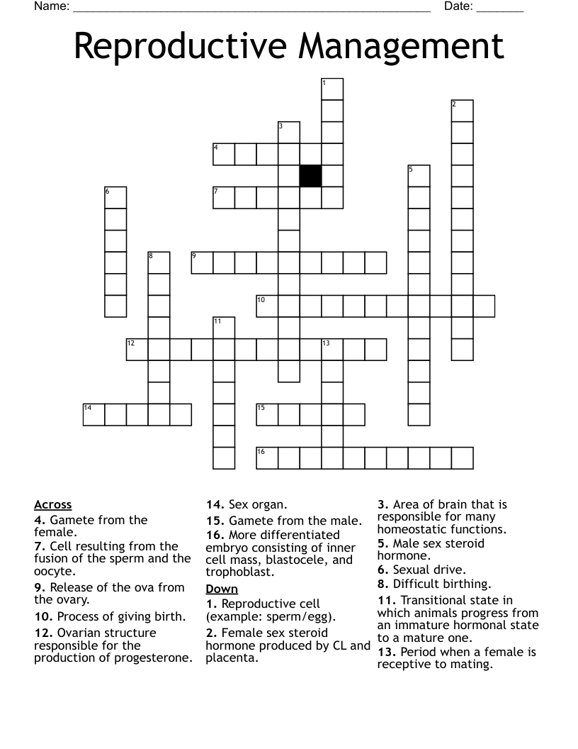 Reproductive Management Crossword