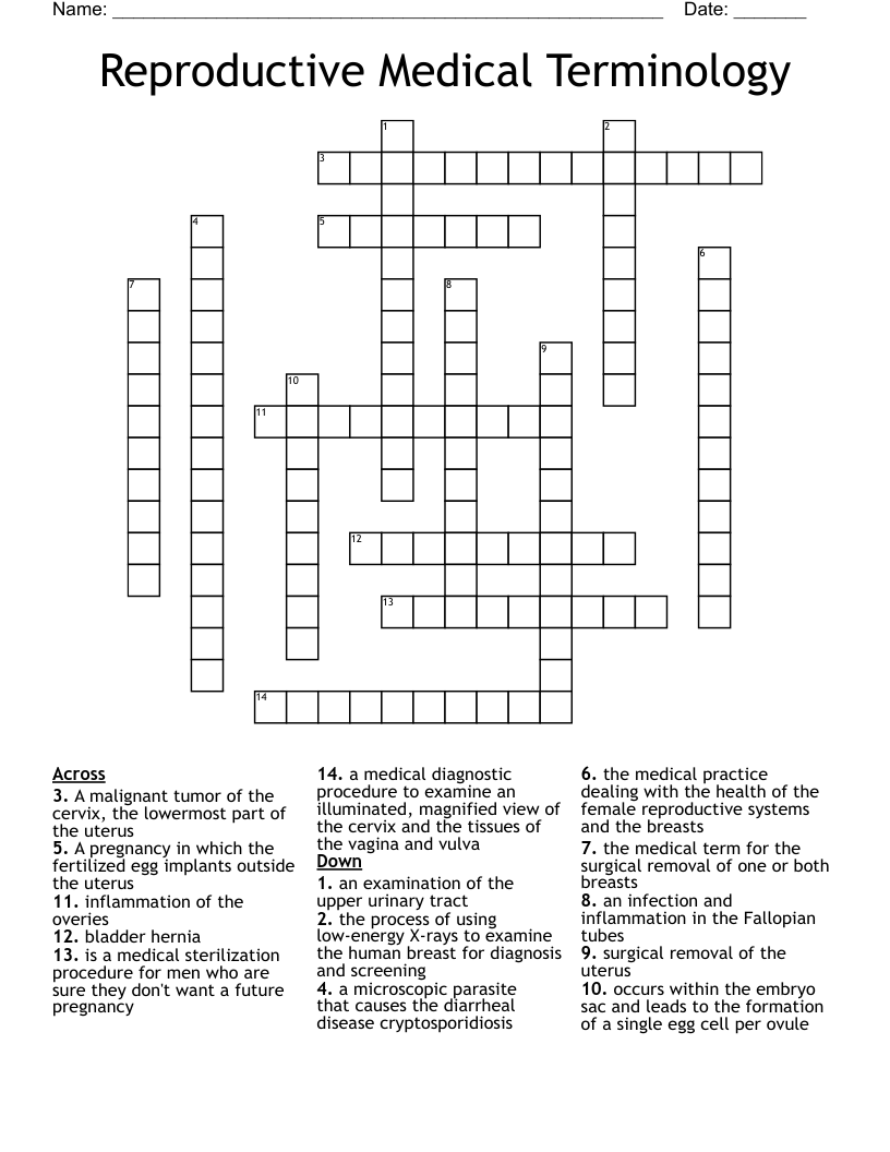 Reproductive Medical Terminology  Crossword