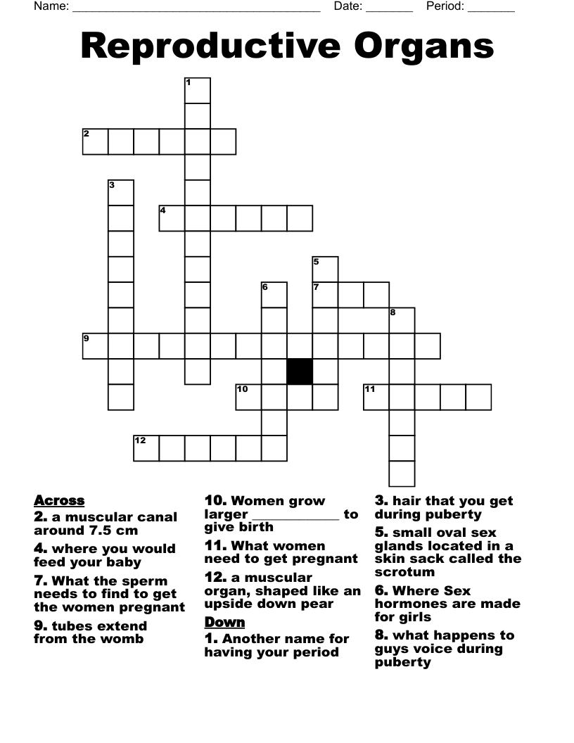 Reproductive Organs Crossword