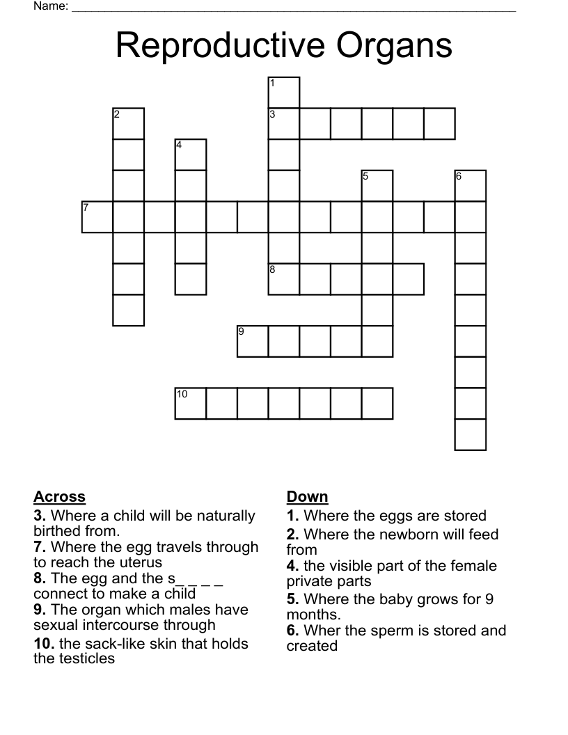 Reproductive Organs Crossword