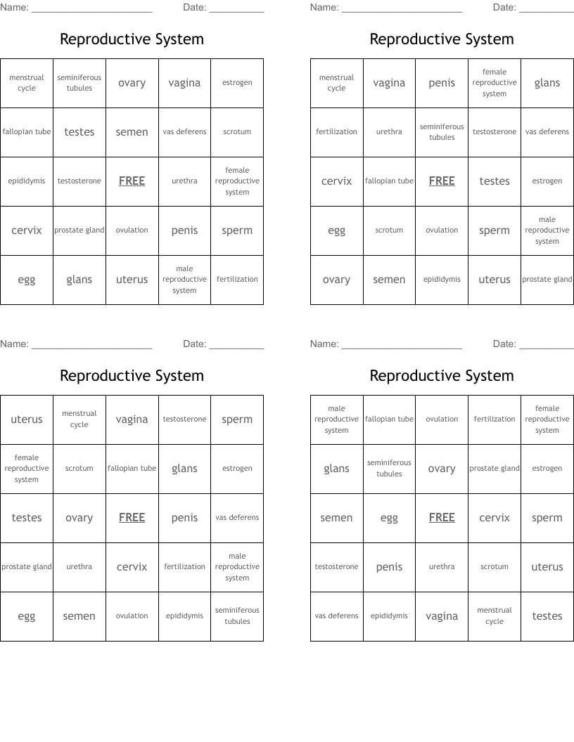 Reproductive System Bingo Cards
