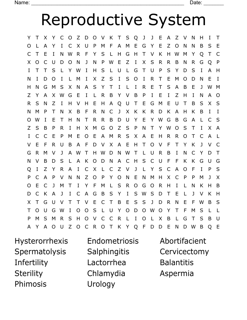 Reproductive System Word Search