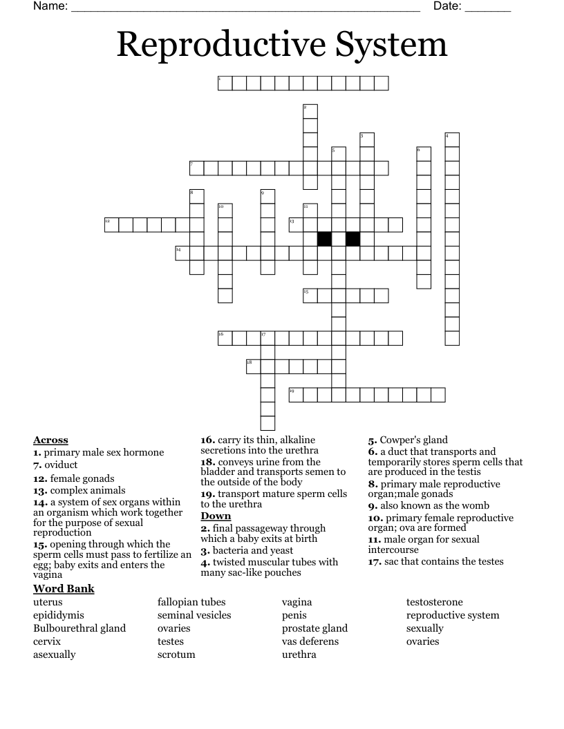 Reproductive System Crossword