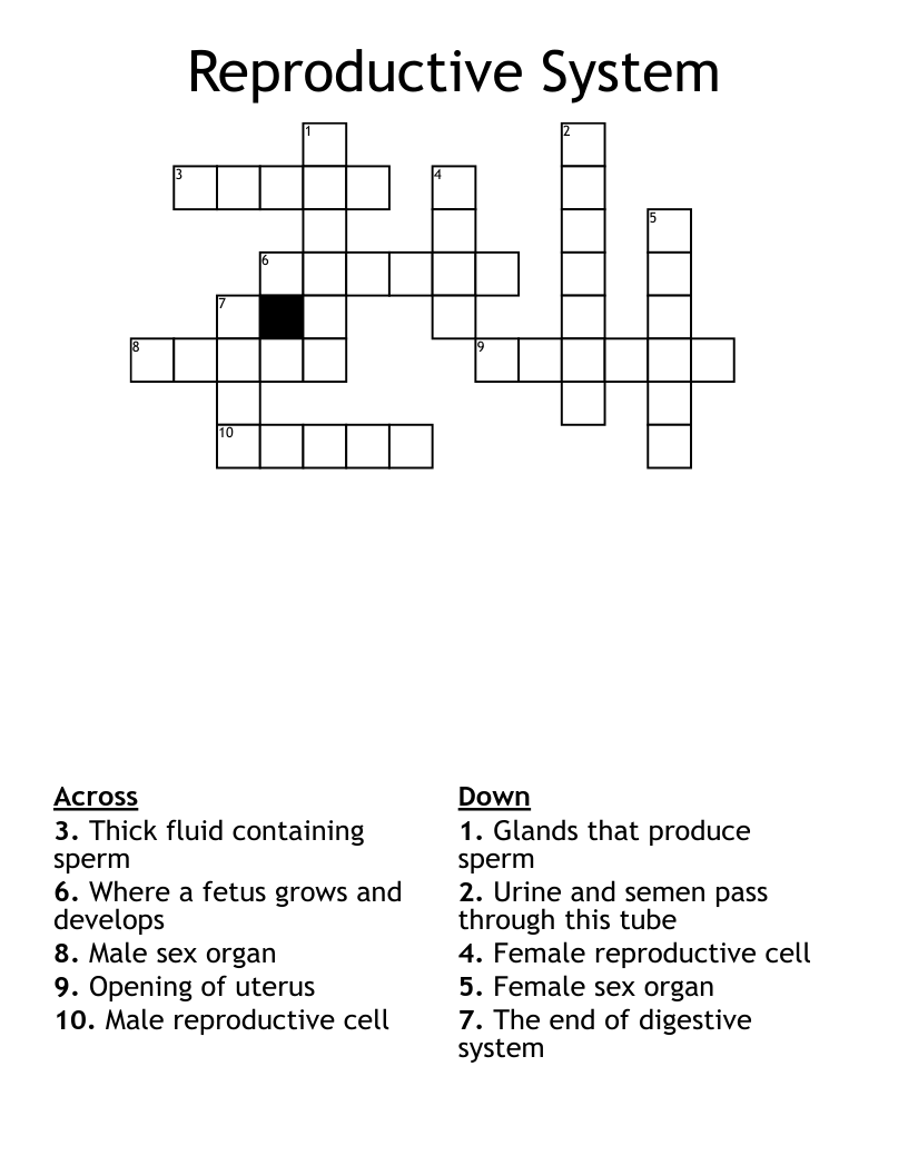 Reproductive System Crossword