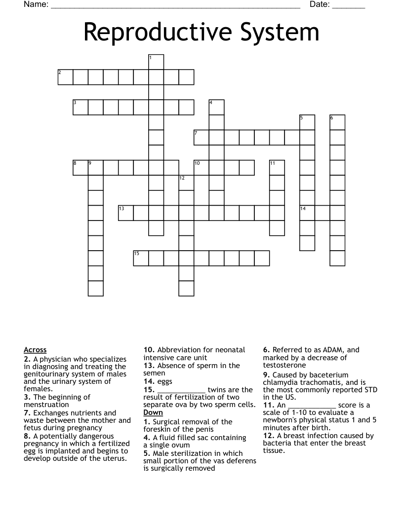 Reproductive System Crossword