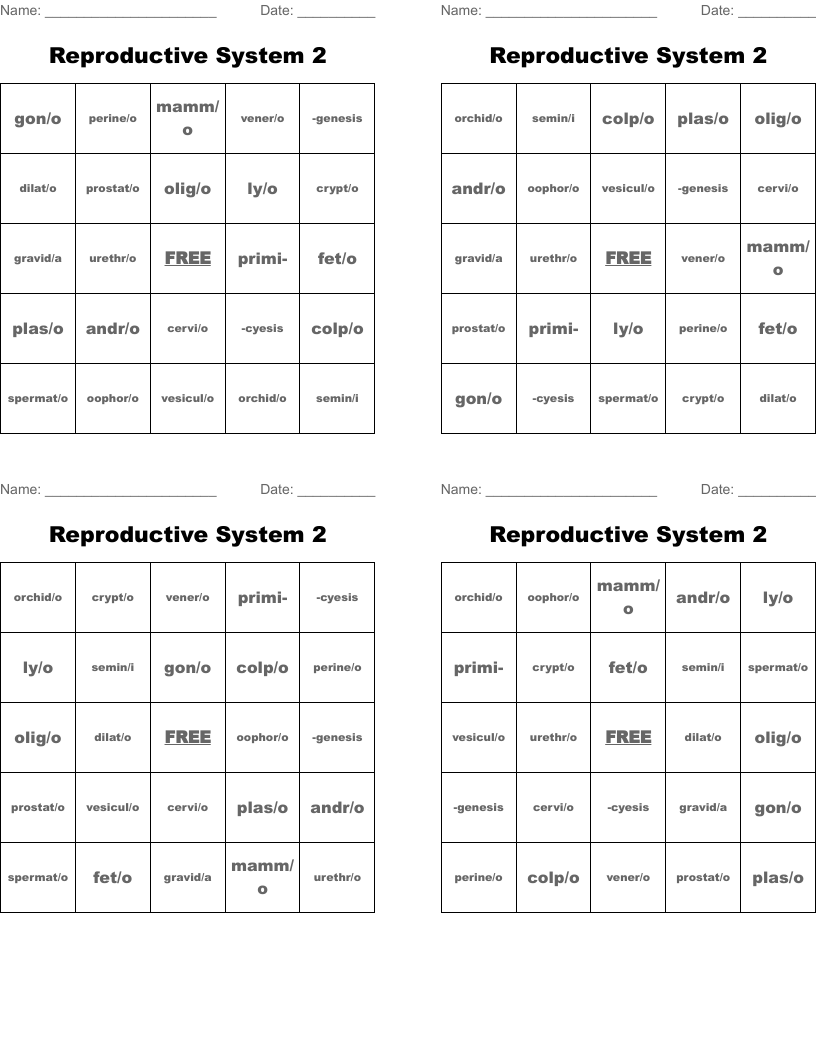 Reproductive System 2 Bingo Cards