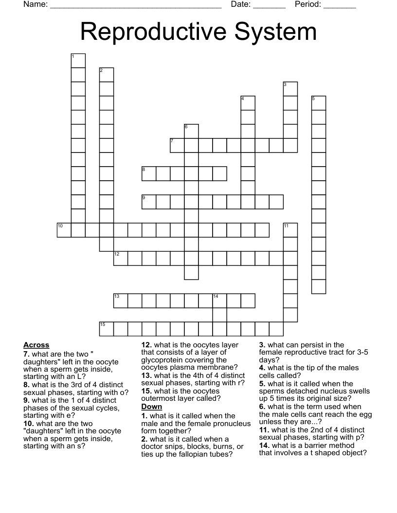 Reproductive System Crossword