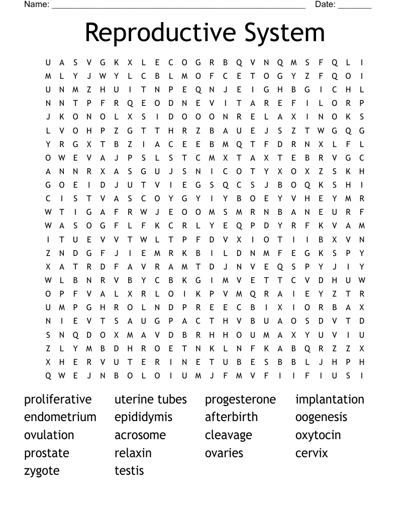 Reproductive System Word Search