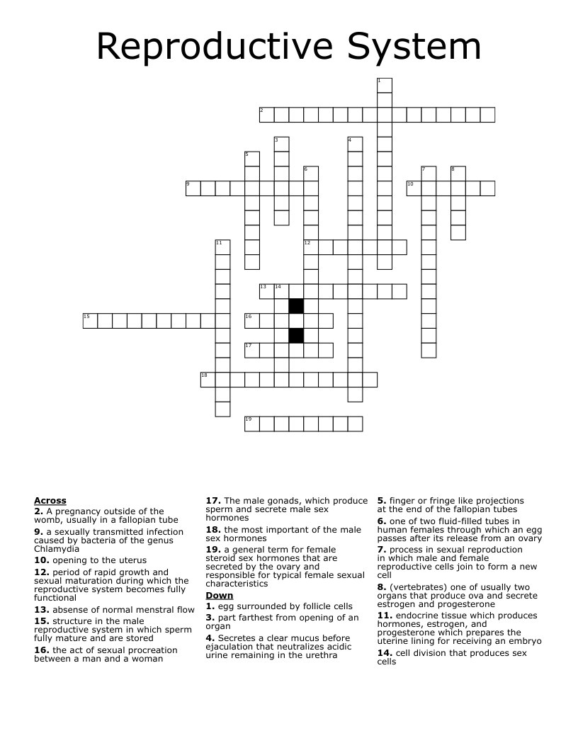 Reproductive System Crossword