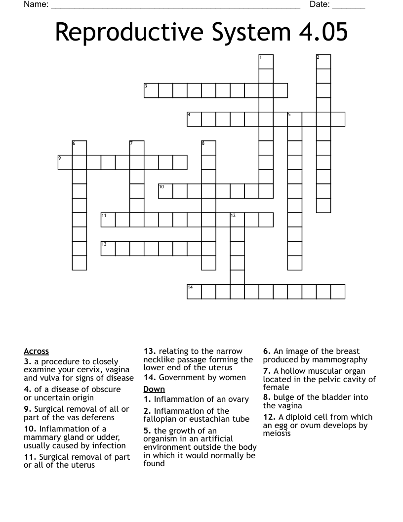 Reproductive System 4.05 Crossword