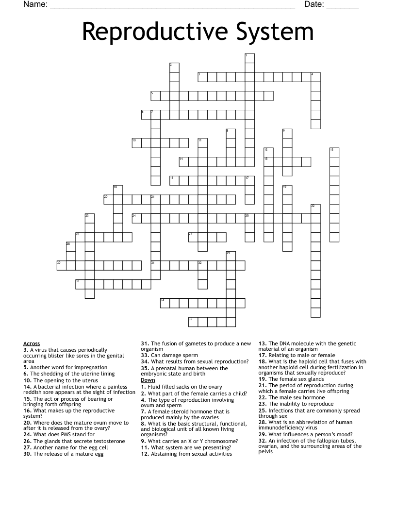 Reproductive System Crossword