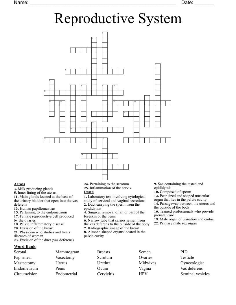 Reproductive System Crossword