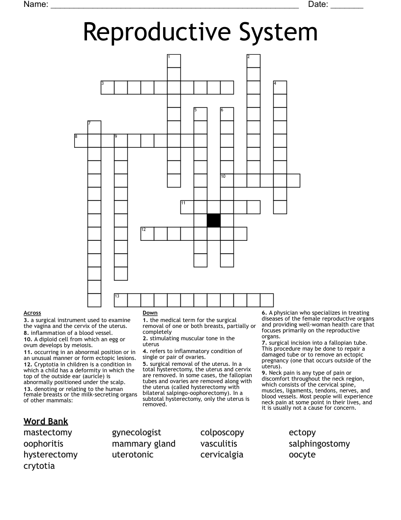 Reproductive System Crossword