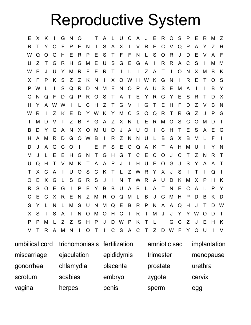 Reproductive System Word Search