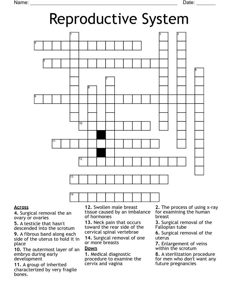 Reproductive System Crossword