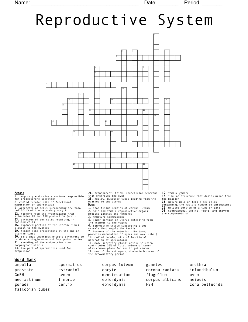 Reproductive System Crossword