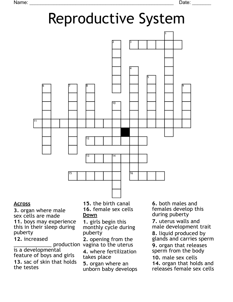 Reproductive System Crossword