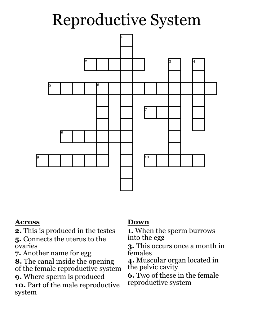 Reproductive System Crossword