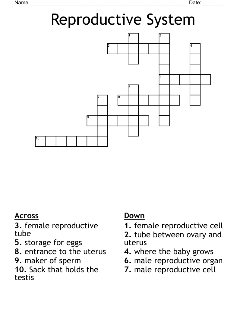 Reproductive System Crossword