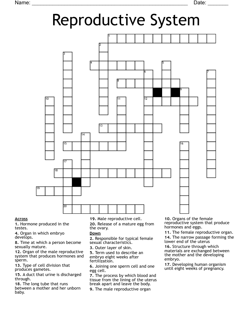 Reproductive System Crossword