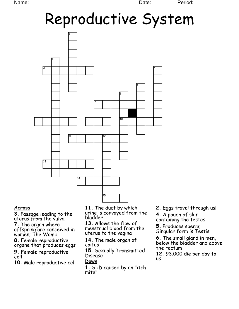 Reproductive System Crossword