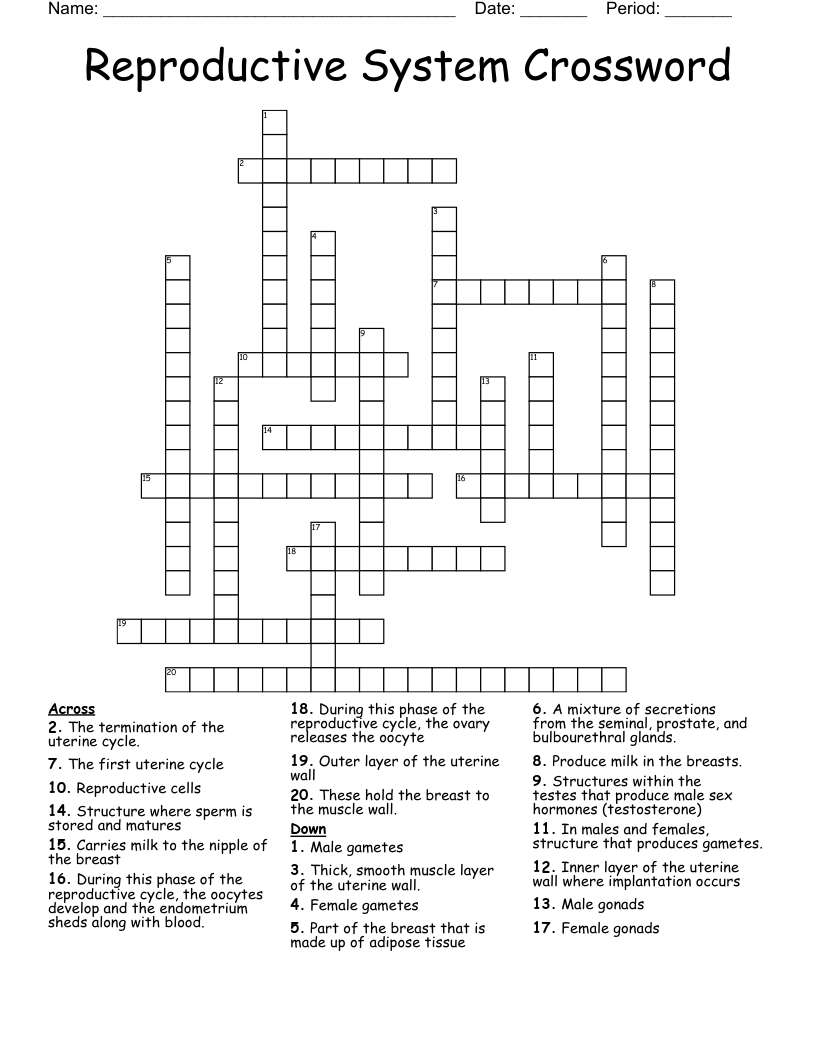 Reproductive System Crossword