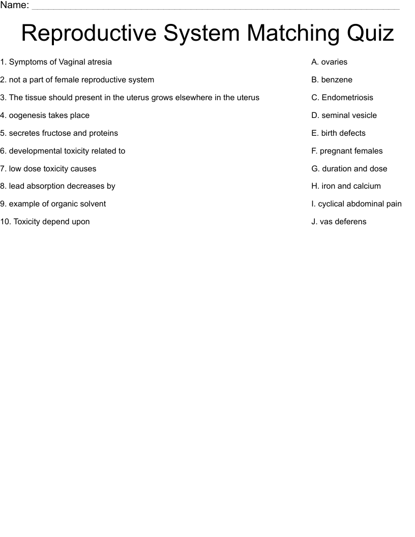 Reproductive System Matching Quiz Worksheet