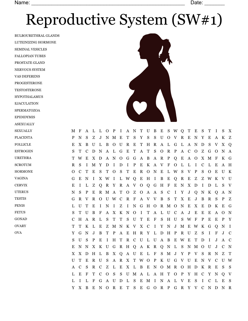 Reproductive System (SW#1) Word Search