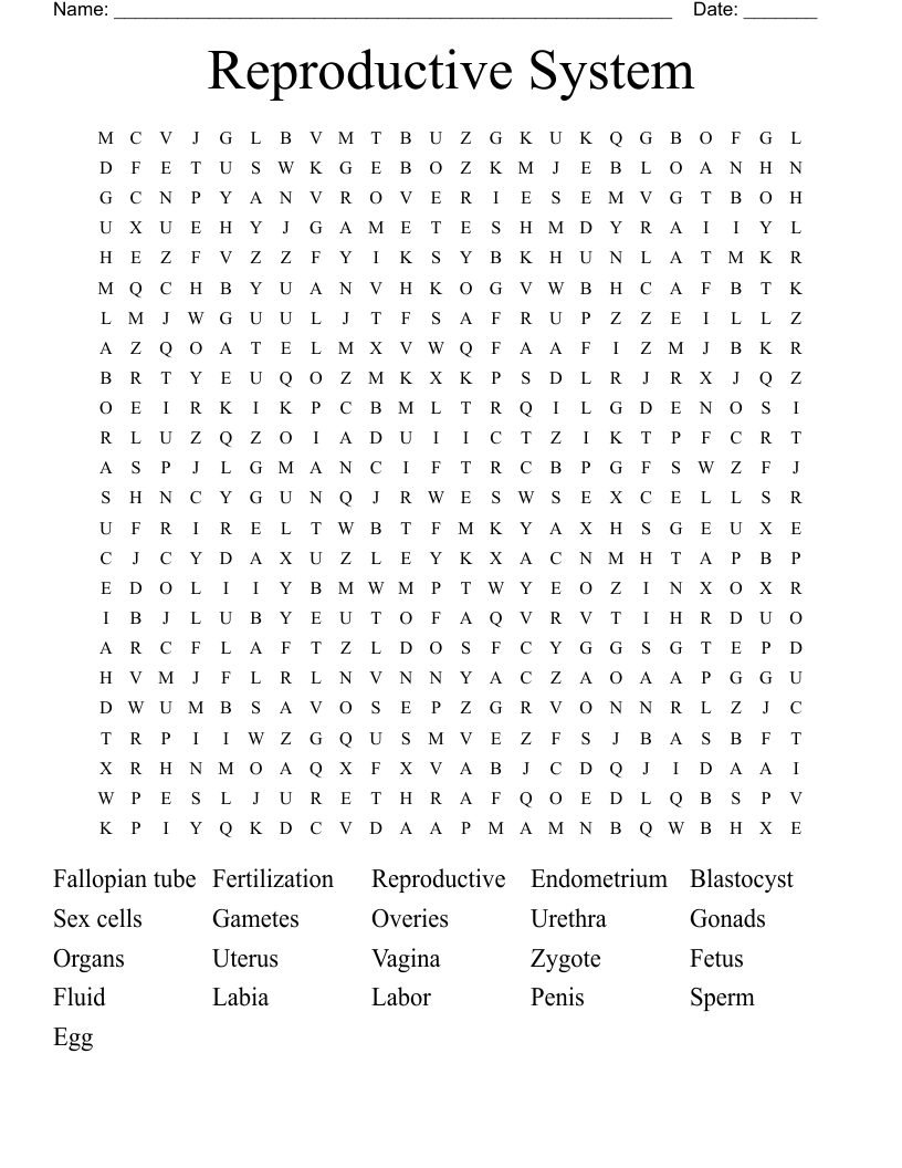 Reproductive System  Word Search