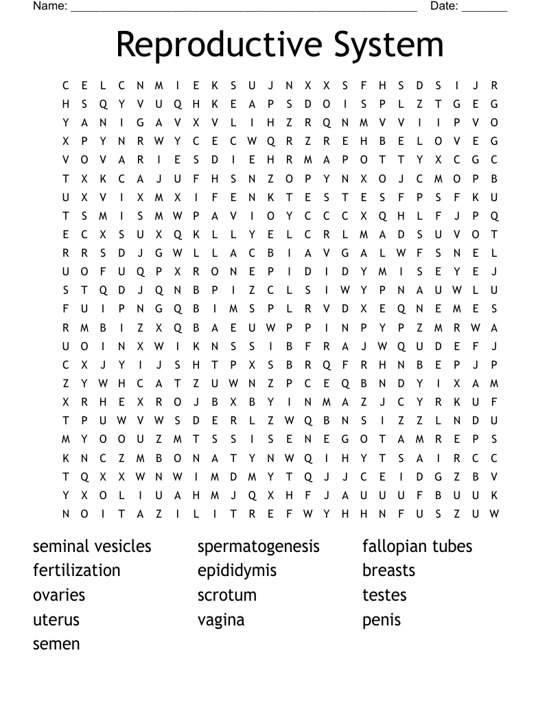 Reproductive System  Word Search