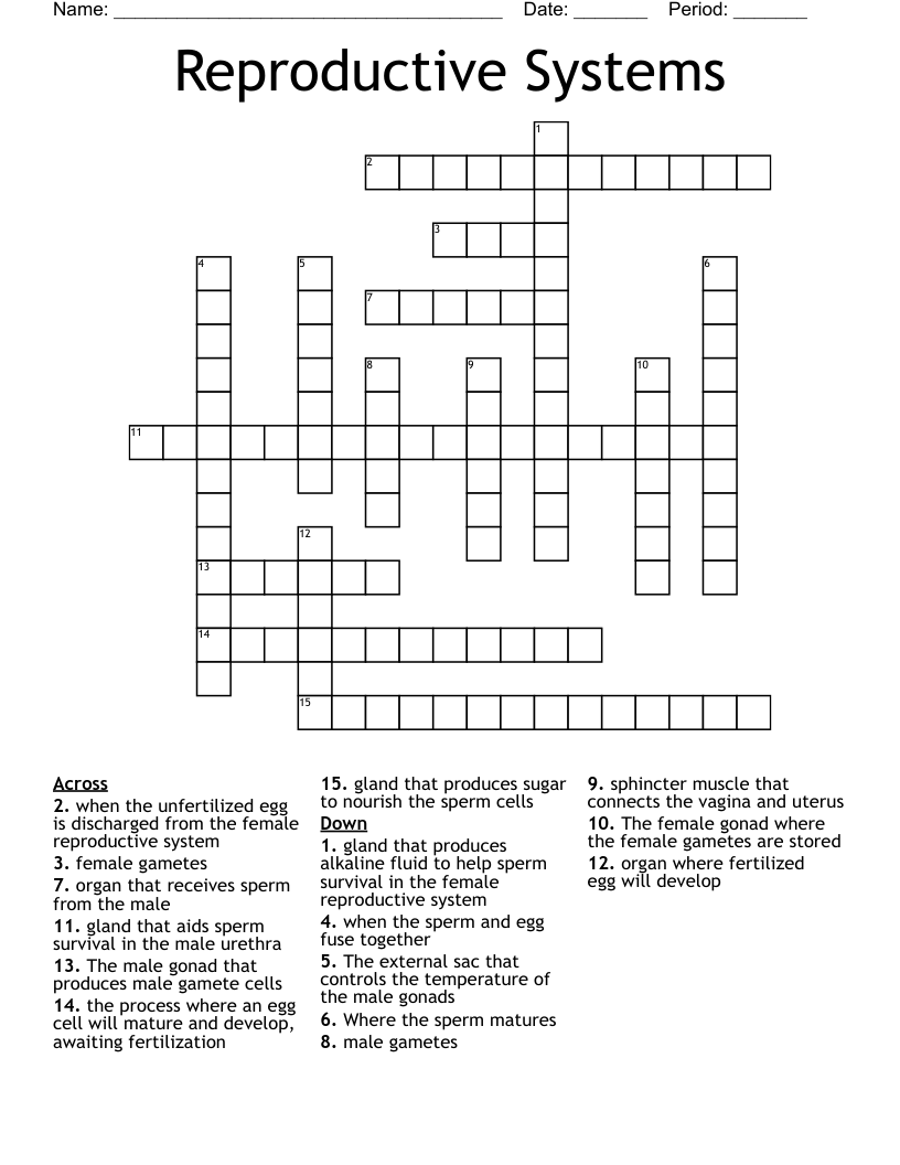 Reproductive Systems Crossword