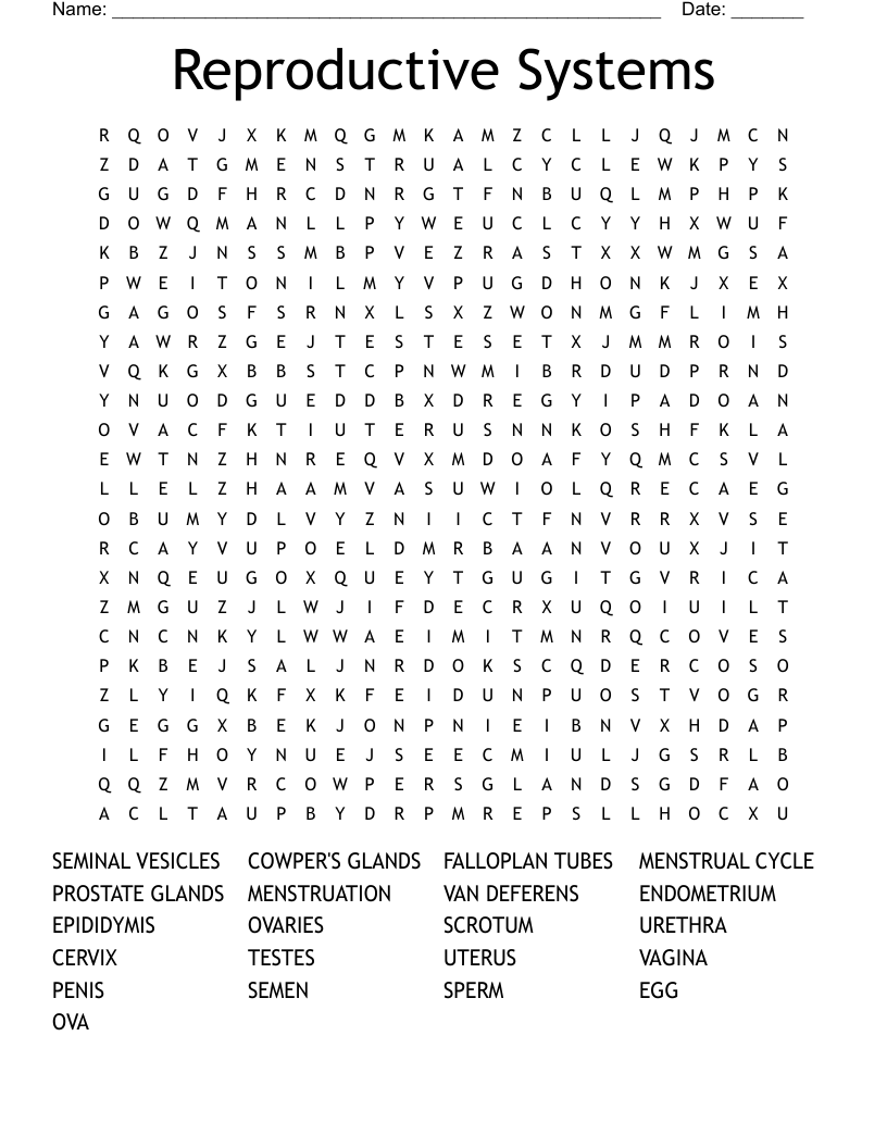 Reproductive Systems Word Search