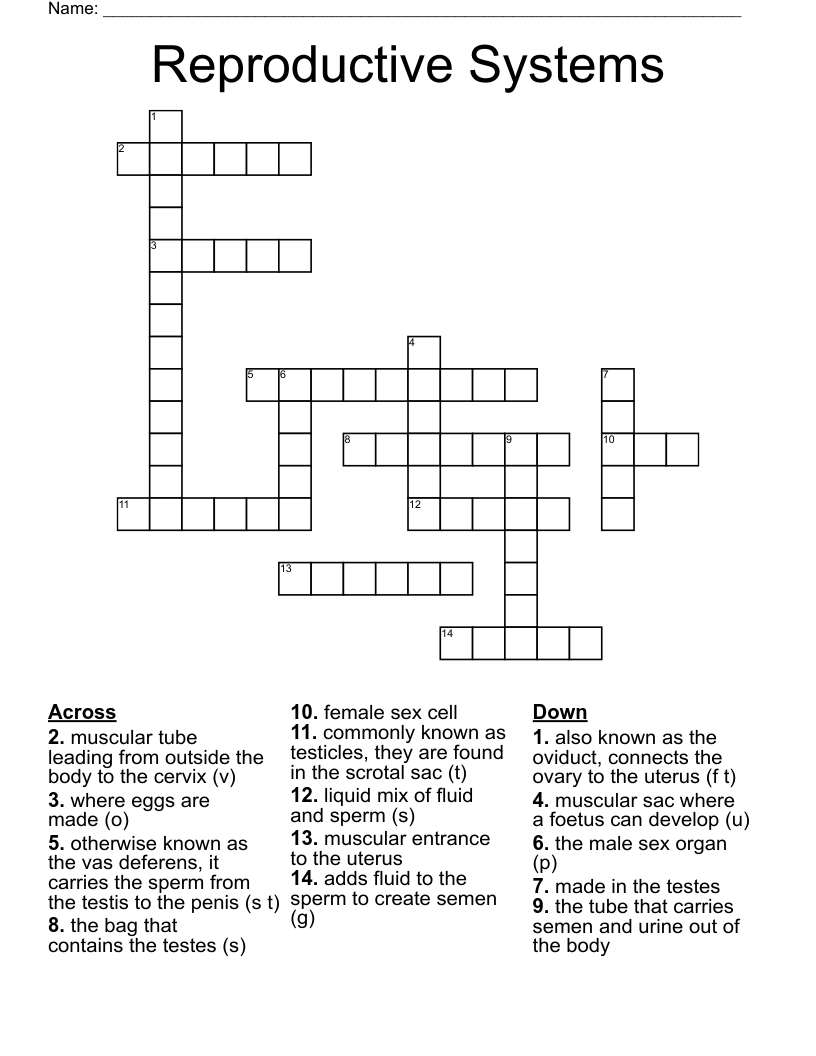 Reproductive Systems Crossword